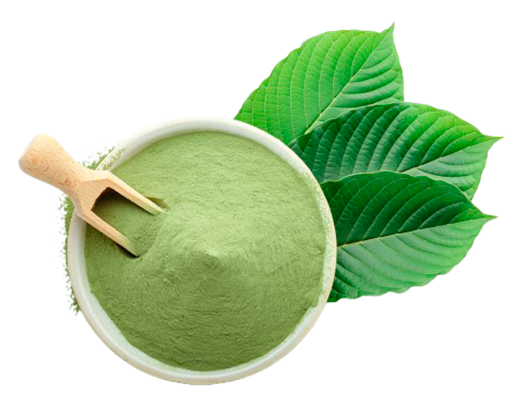 Green kratom botanický produkt