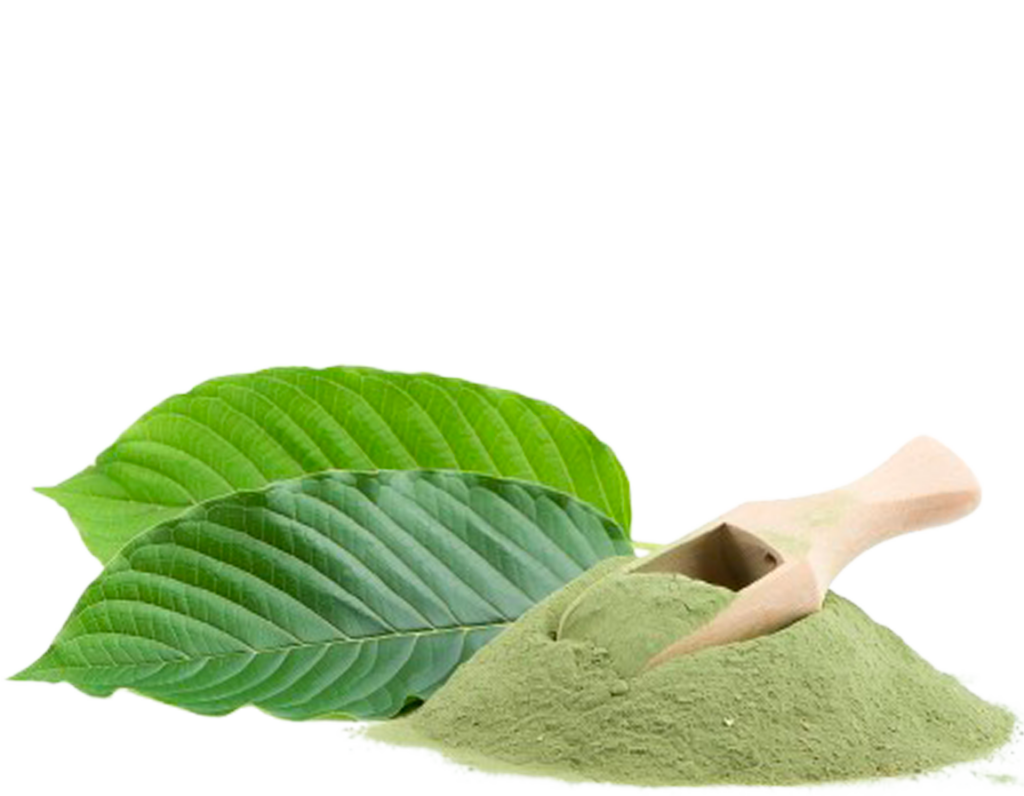 Green kratom botanický produkt